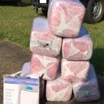 Lot of pot: Officers seized 187 pounds of marijuana that was to be delivered to a Chilton County business, and then likely distributed.