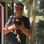 Austin Cochran holds a grown “Speckled Sussex” hen as part of the 2016 Chick Chain project. He will participate in the show on Saturday. (Contributed Photo)