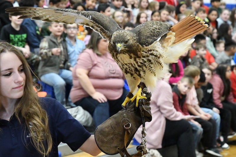 CMS hosts Auburn Raptor Center for bird show - The Clanton Advertiser ...